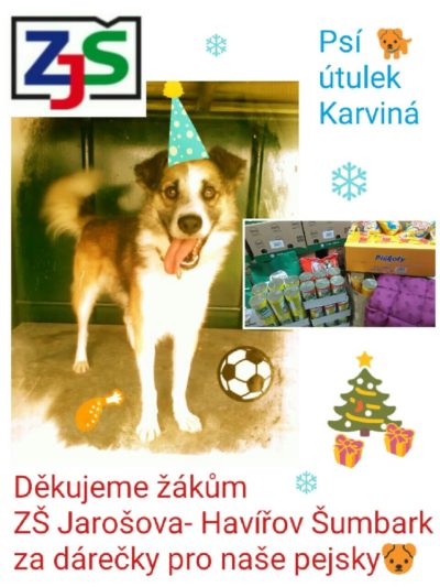 Pejsci z útulku děkují za dárky od ZŠ Jarošova - Havířov Šumbark